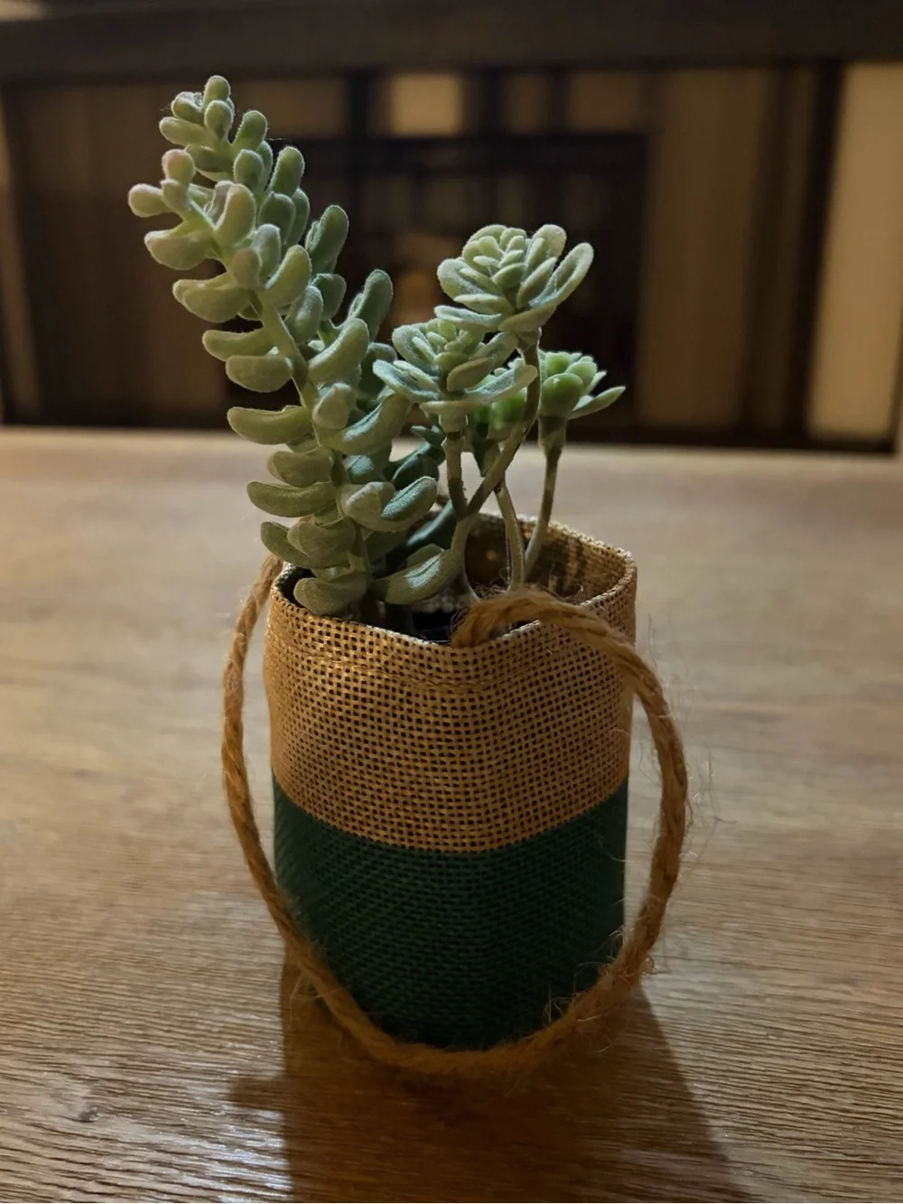 Burlap Hanging Faux Succulent Planter Set - Red & Green